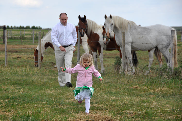 Meeting the horses 7